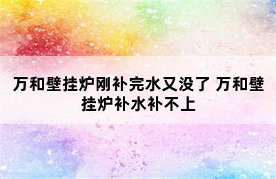 万和壁挂炉刚补完水又没了 万和壁挂炉补水补不上